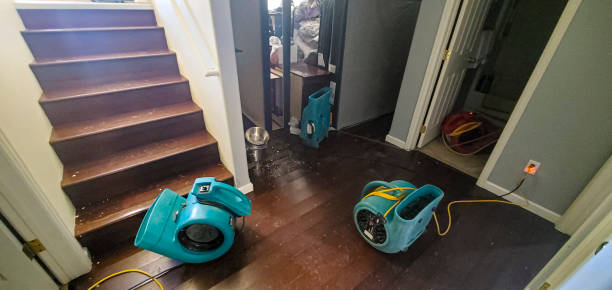 Best Flooded house restoration  in Leland Grove, IL