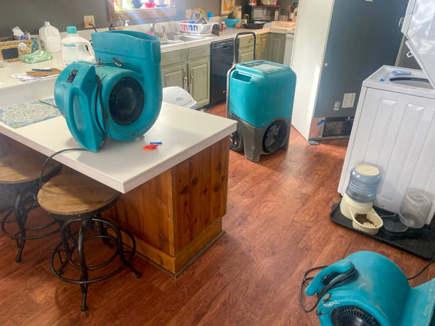 Best Emergency water damage restoration  in Leland Grove, IL