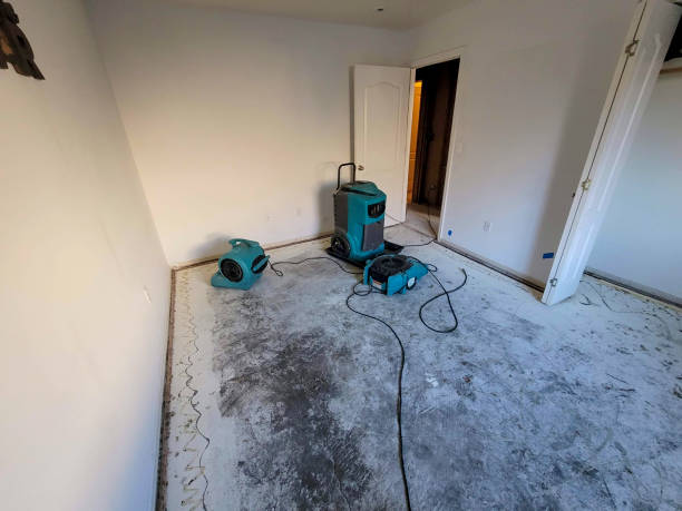 Best 24/7 water damage repair  in Leland Grove, IL