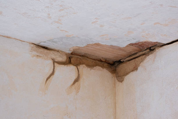 Best Water damage restoration near me  in Leland Grove, IL