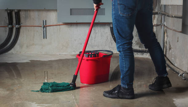 Best Water damage restoration services  in Leland Grove, IL