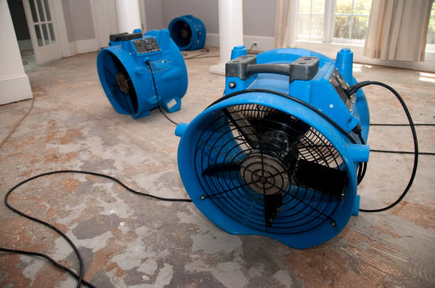 Best Professional water damage repair  in Leland Grove, IL