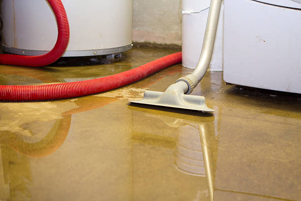 Carpet water damage restoration in Leland Grove, IL