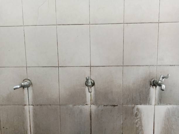Best Residential water damage restoration  in Leland Grove, IL