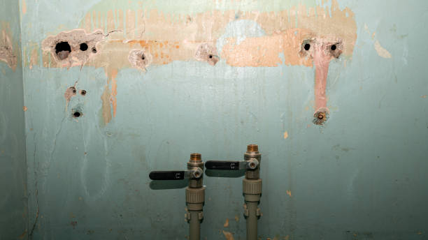 Best Water damage cleanup near me  in Leland Grove, IL