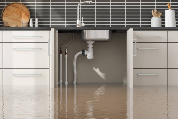 Leland Grove, IL Water damage restoration Company