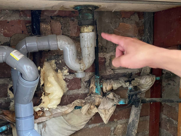 Best Ceiling water damage repair  in Leland Grove, IL