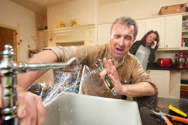 Best Mold removal after water damage  in Leland Grove, IL